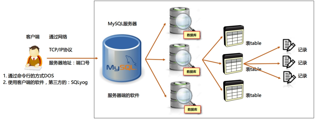 数据库管理系统、数据库和表的关系